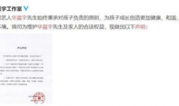 娱乐圈吃瓜大集合pdf,揭秘“吃瓜大集合”PDF背后的精彩故事